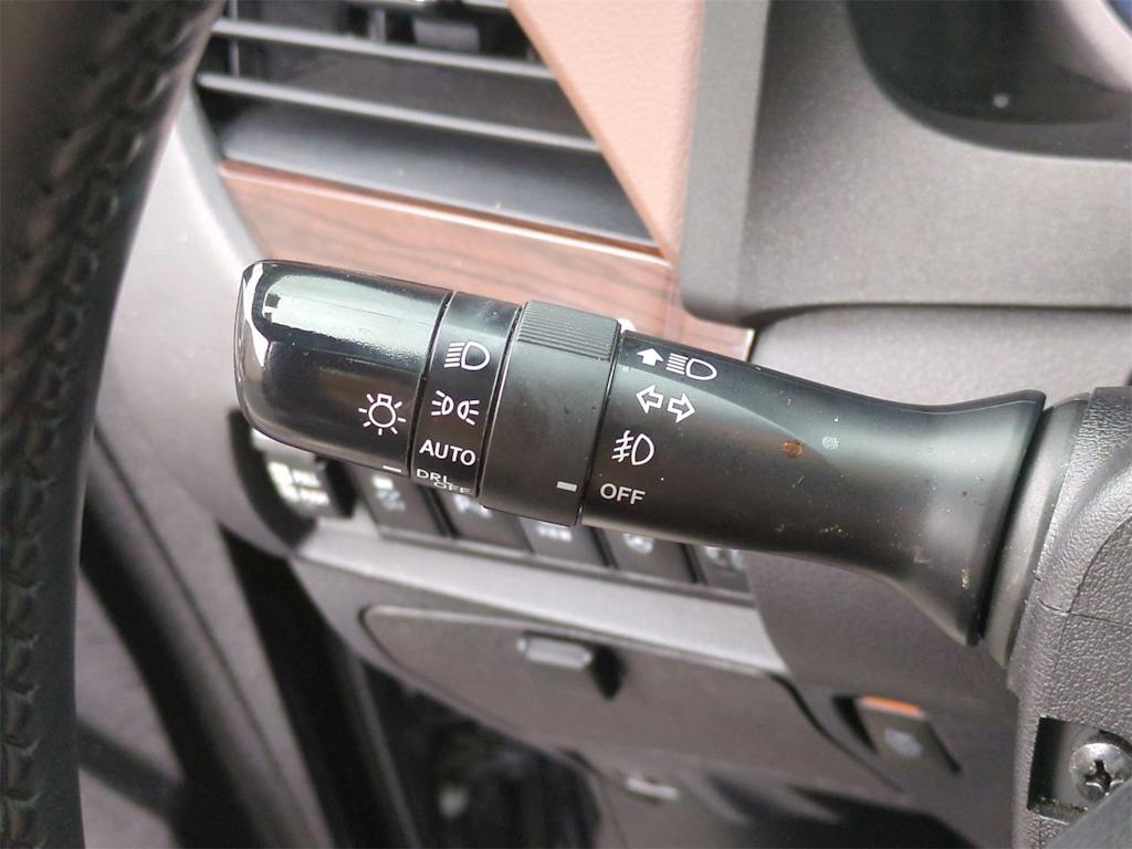 2019 Toyota Sienna Limited 29