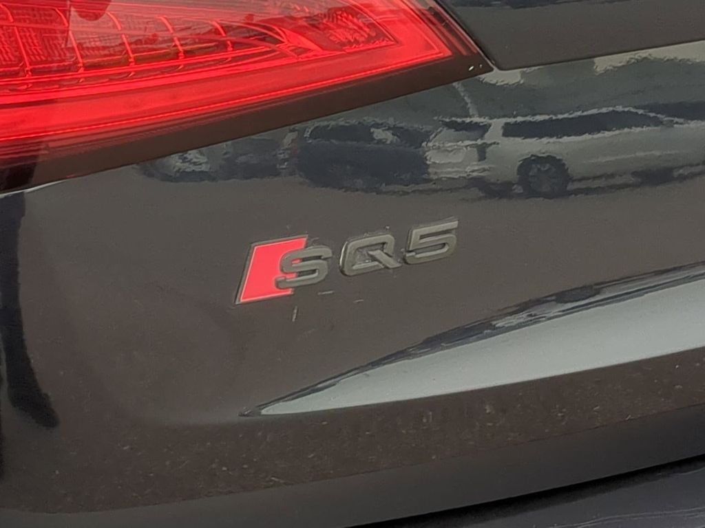 Thumbnail: 2014 Audi SQ5 - 23
