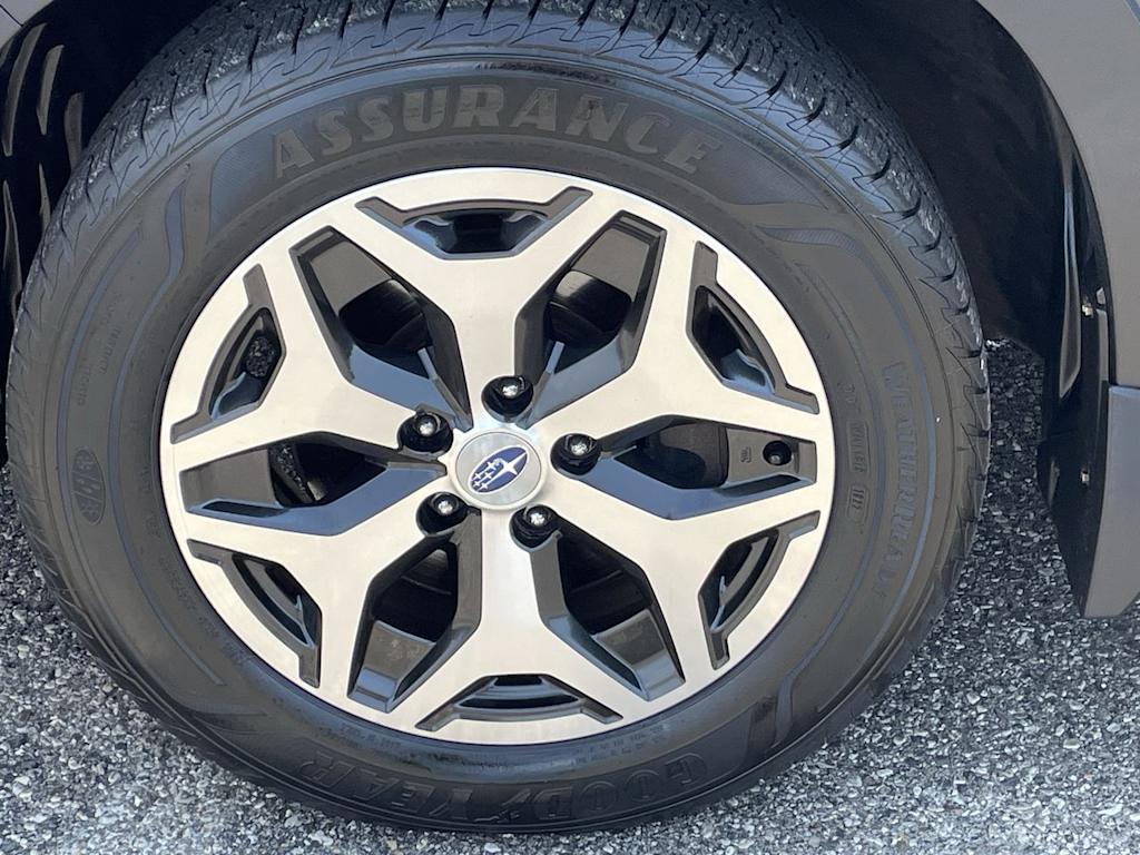 Thumbnail: 2019 Subaru Forester - 6