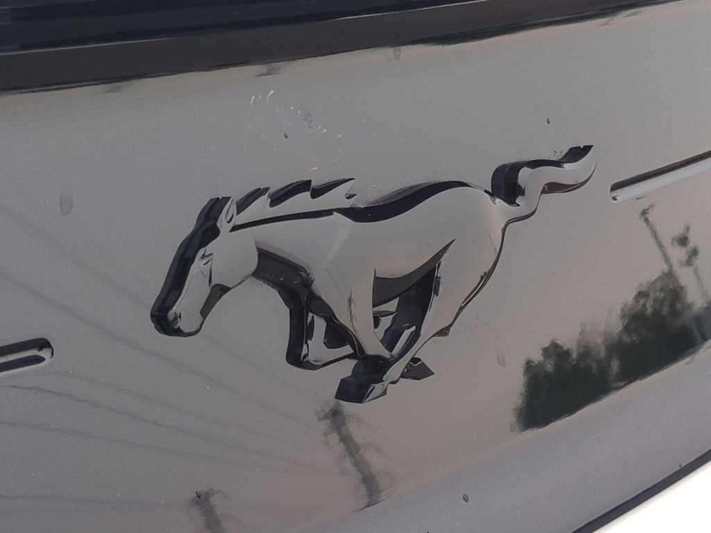 Thumbnail: 2019 Ford Mustang - 7