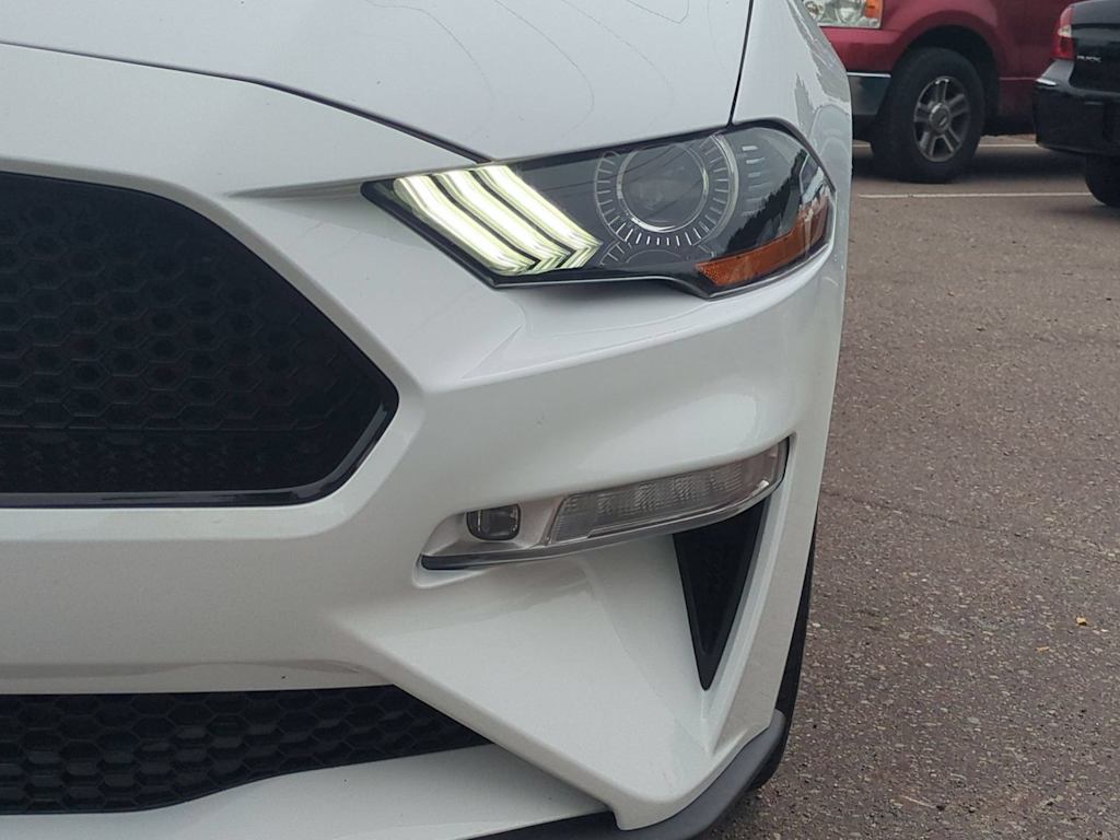 Thumbnail: 2019 Ford Mustang - 22