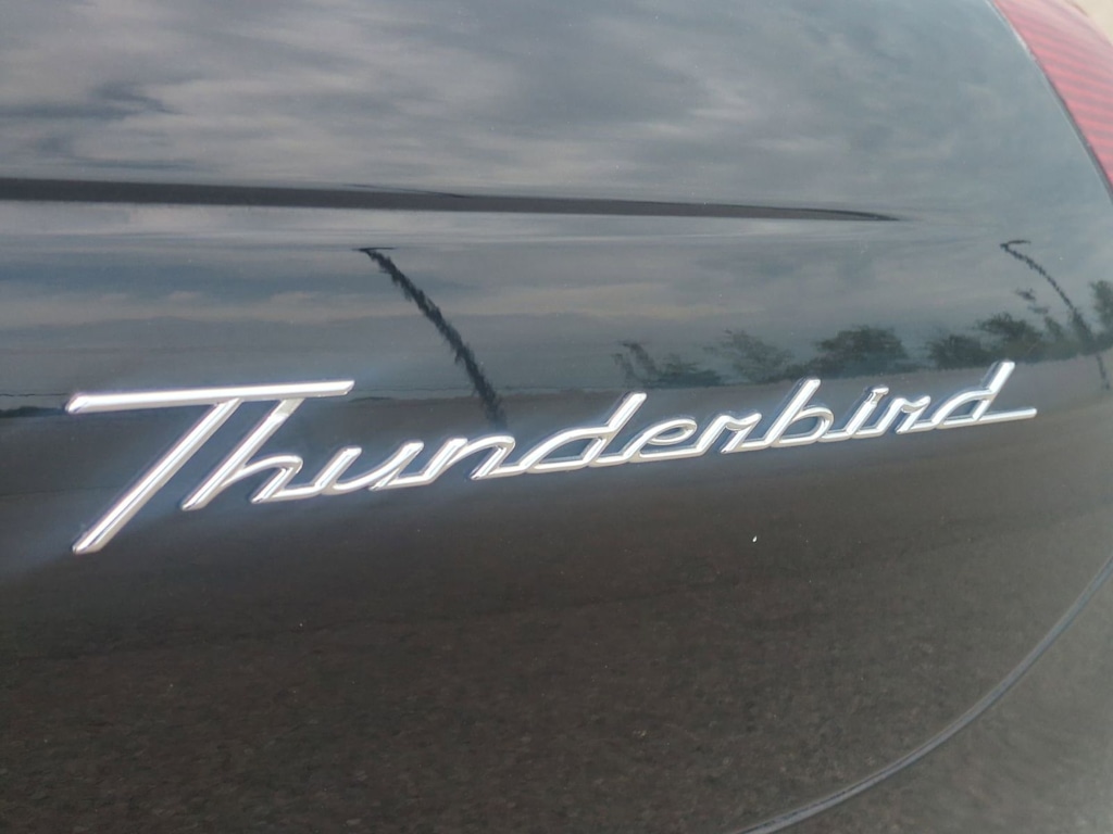 Thumbnail: 2002 Ford Thunderbird - 21