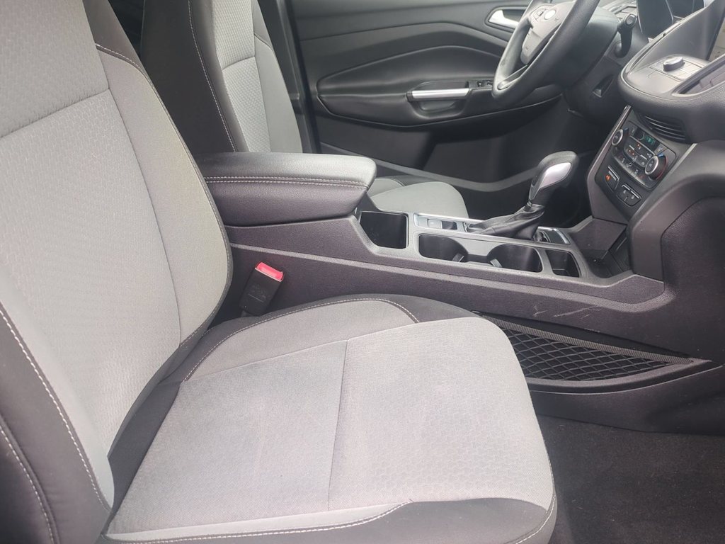 Thumbnail: 2019 Ford Escape - 11