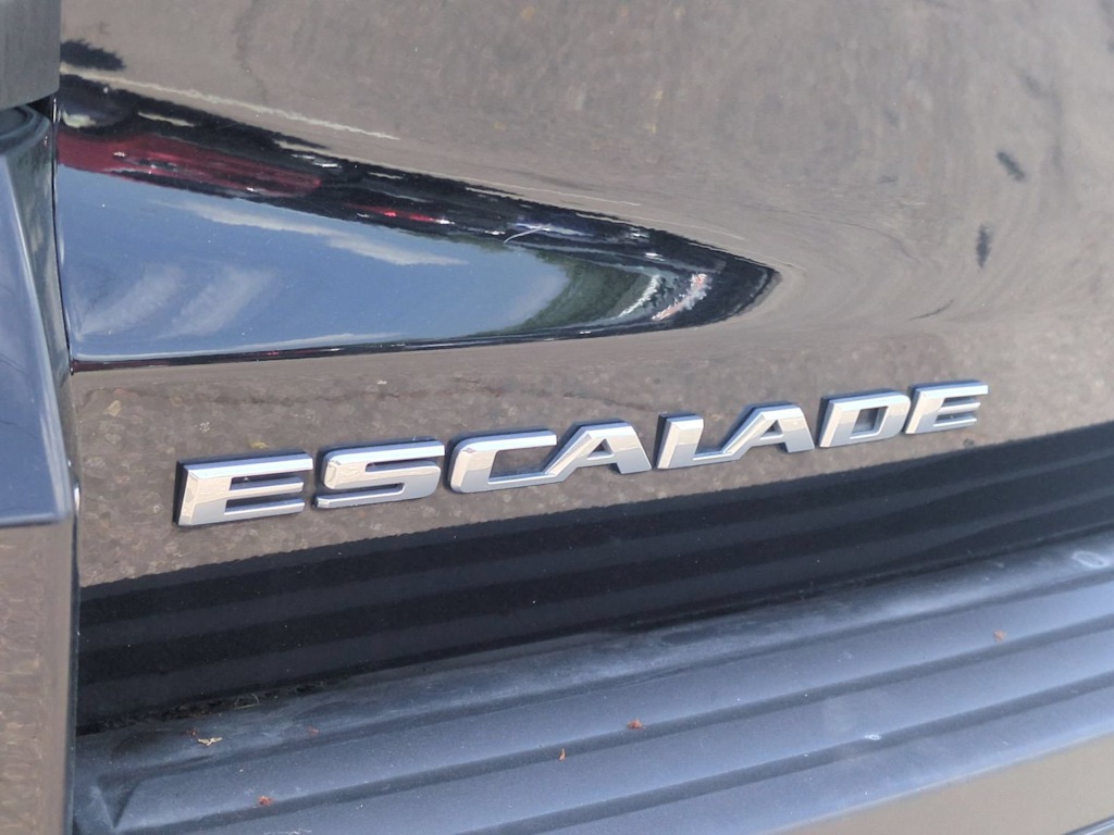 Thumbnail: 2019 Cadillac Escalade - 24