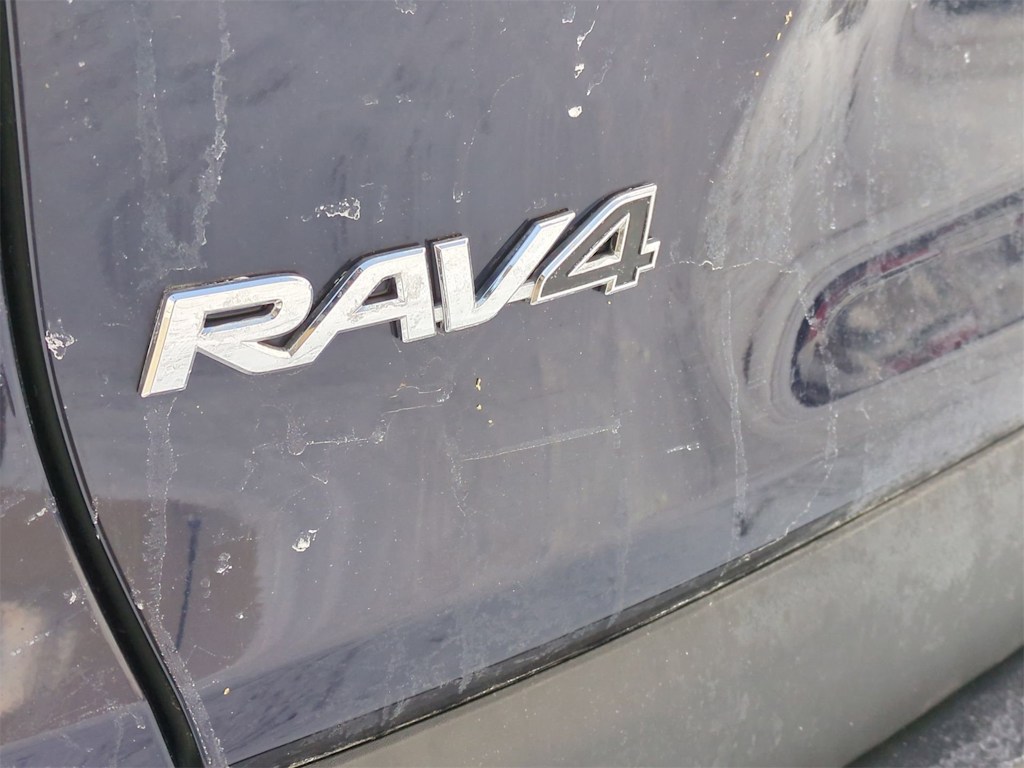 2019 Toyota RAV4 Limited 25