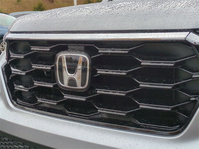 2025 Honda Pilot Touring 6