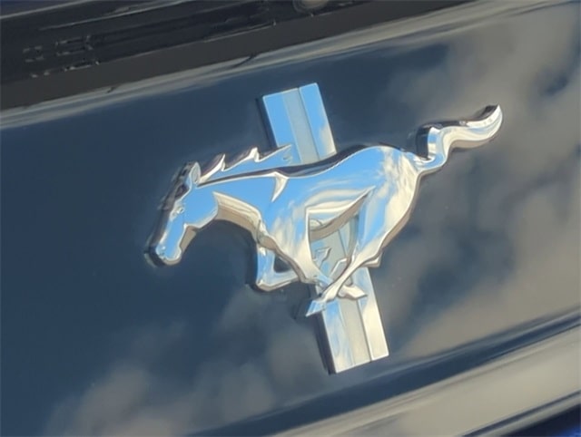 Thumbnail: 2016 Ford Mustang - 25