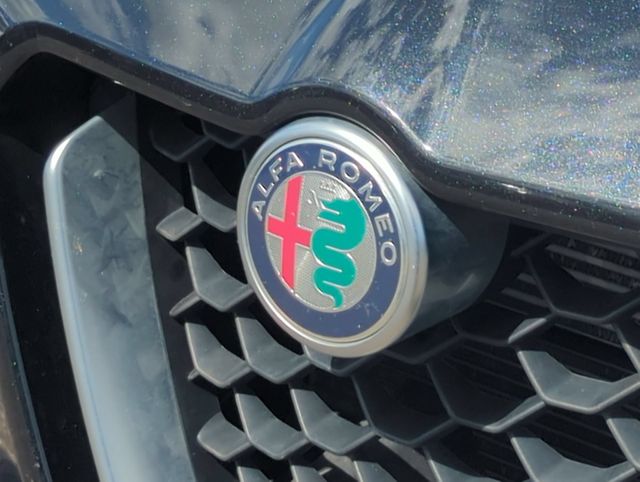 Thumbnail: 2021 Alfa Romeo Stelvio - 25