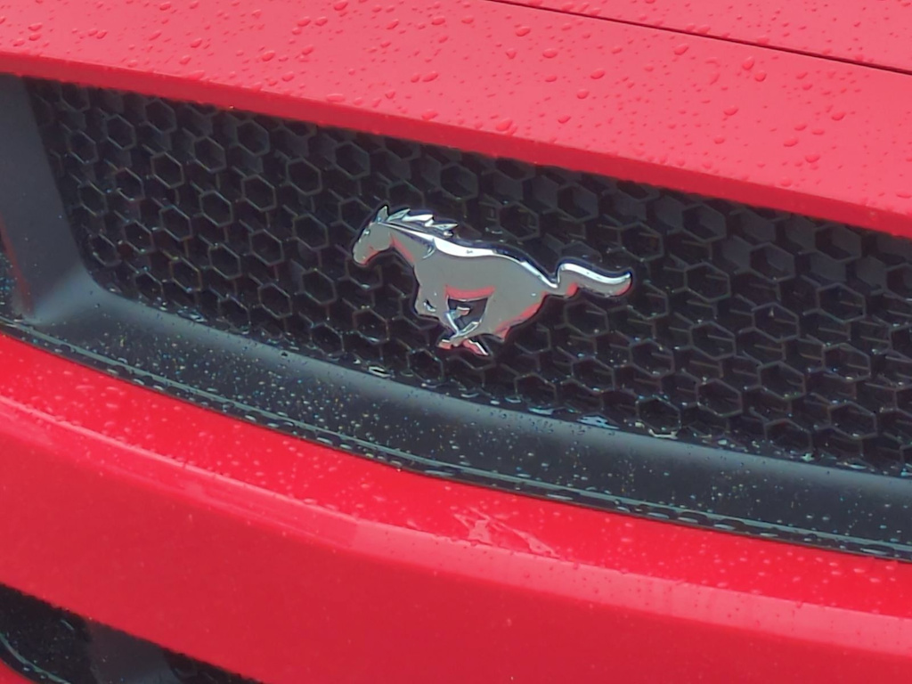 Thumbnail: 2015 Ford Mustang - 6