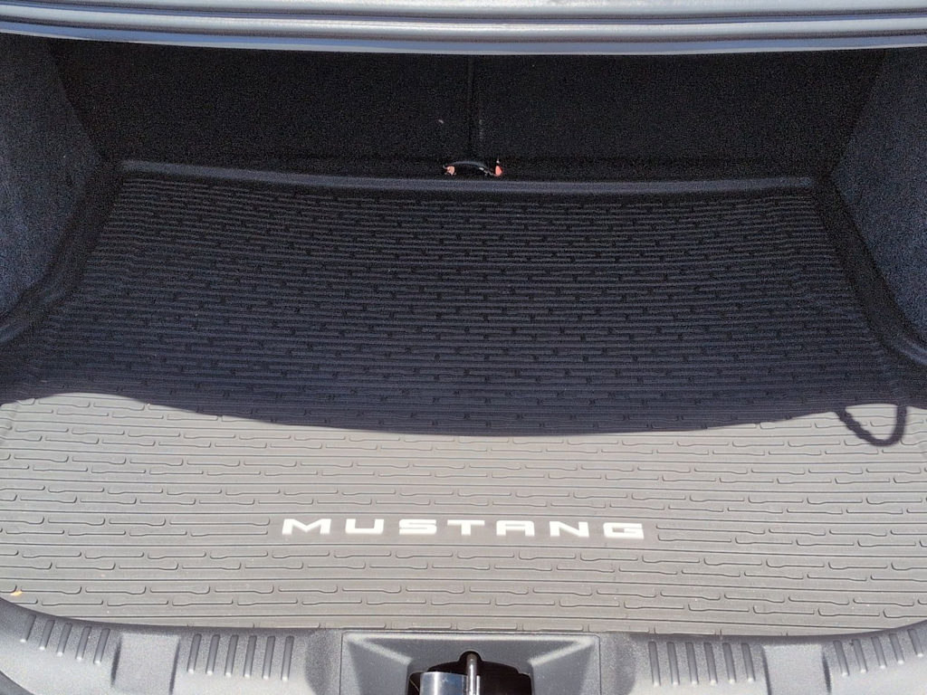 Thumbnail: 2025 Ford Mustang - 16