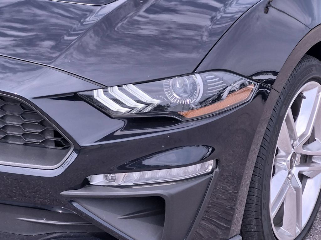 Thumbnail: 2021 Ford Mustang - 24