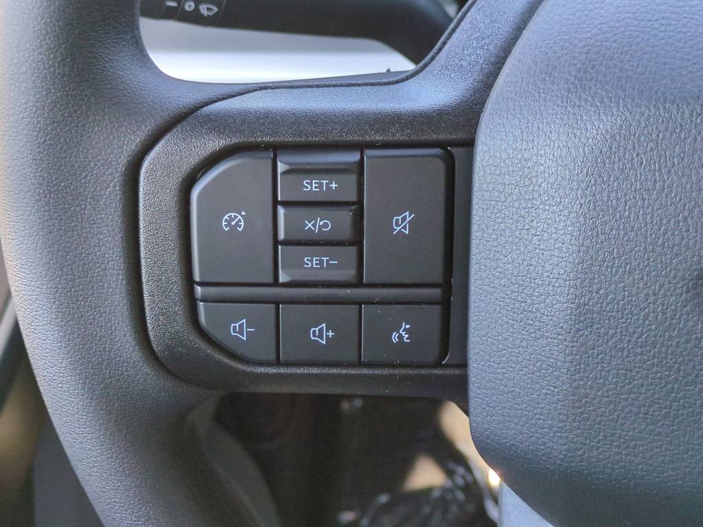 Thumbnail: 2025 Ford F-250 - 24