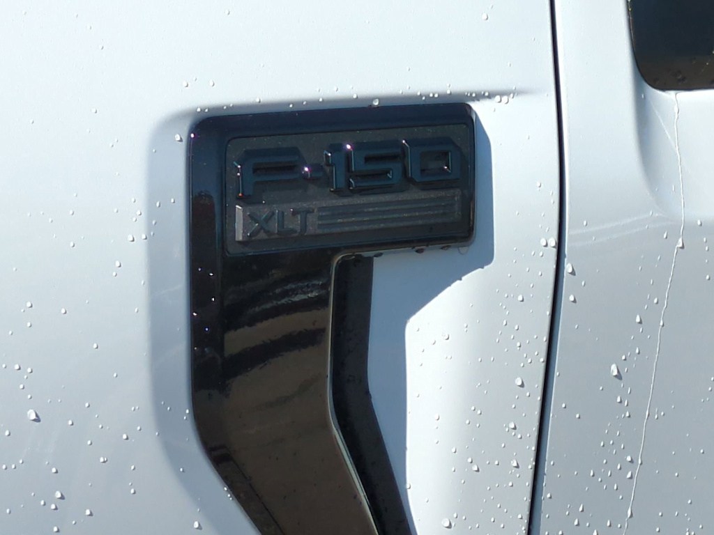 Thumbnail: 2025 Ford F-150 - 25