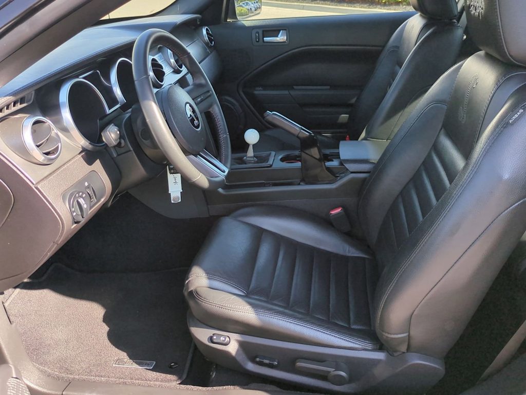 Thumbnail: 2008 Ford Mustang - 10