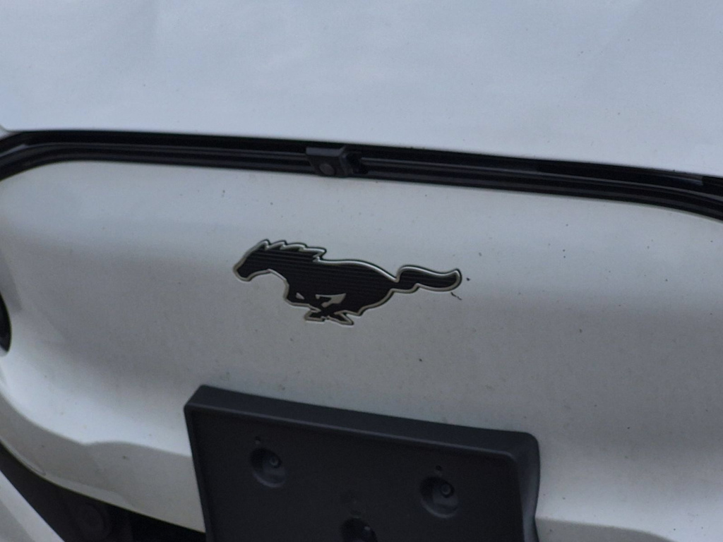 Thumbnail: 2021 Ford Mustang Mach-E - 23