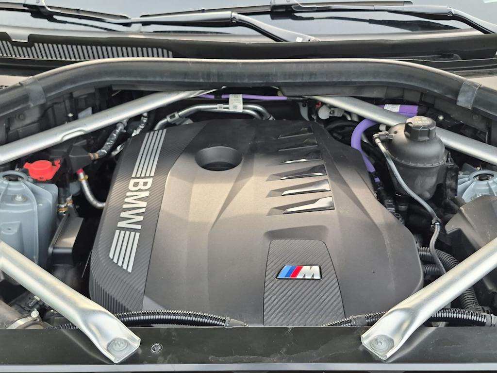 Thumbnail: 2025 BMW X6 - 8