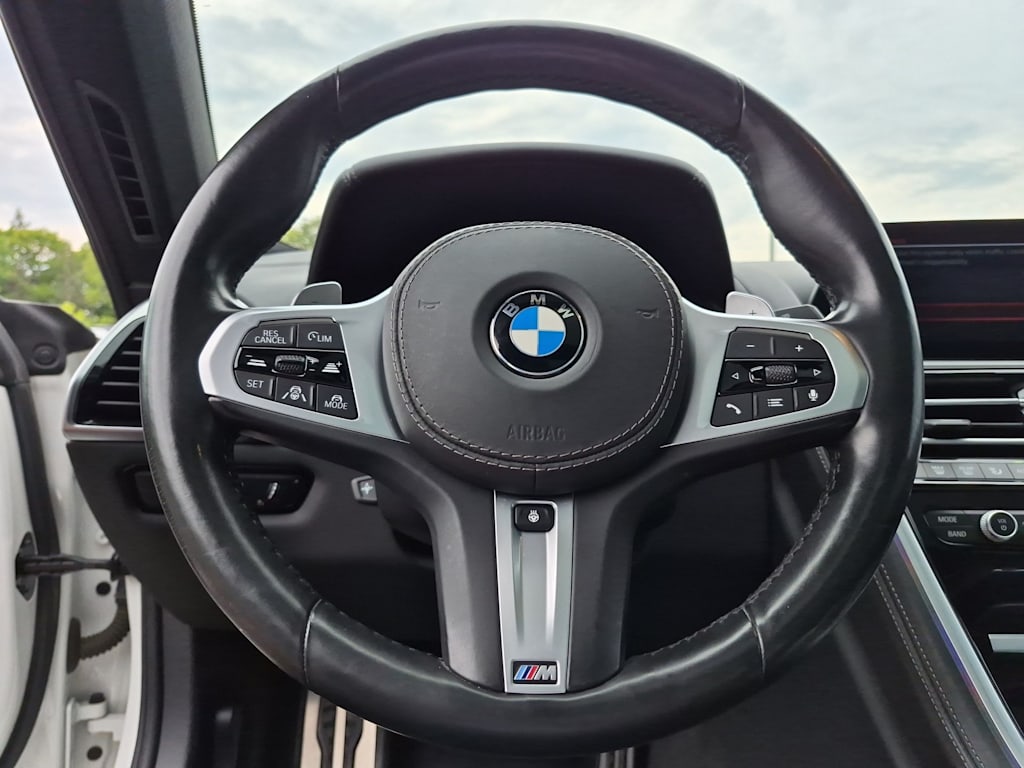 Thumbnail: 2020 BMW 8 Series - 13