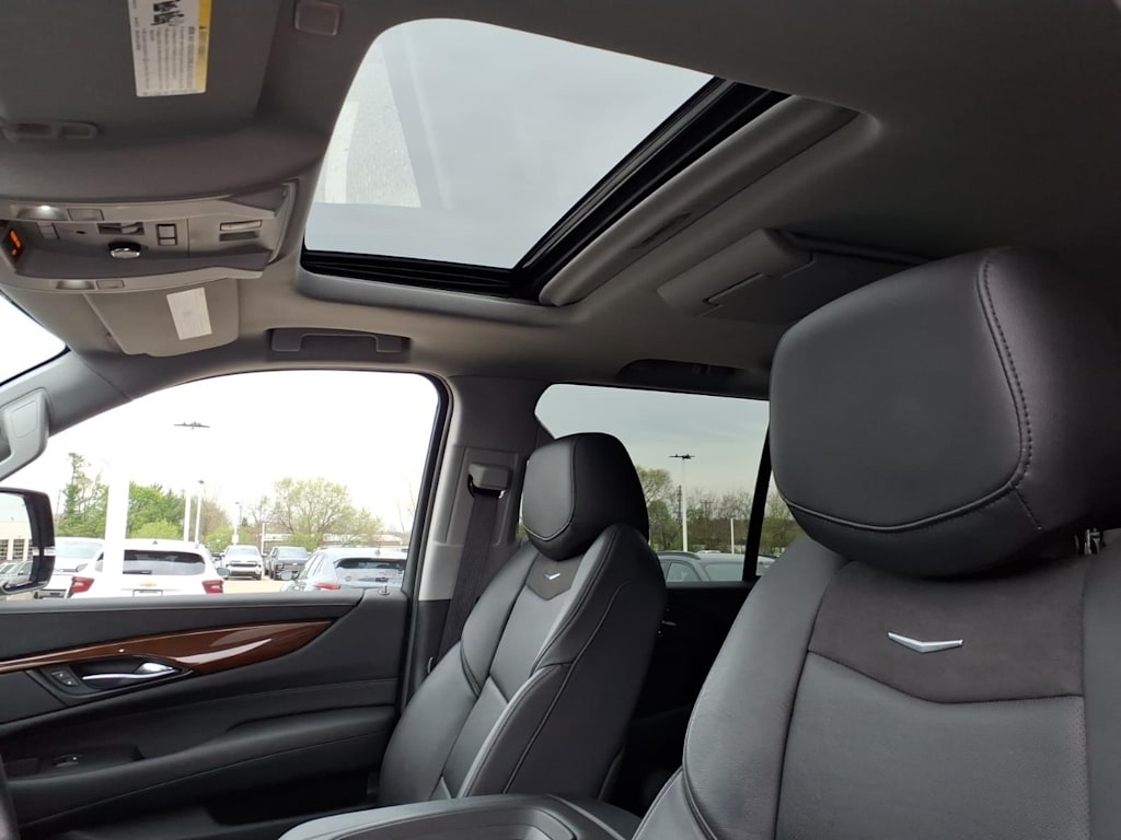 Thumbnail: 2020 Cadillac Escalade - 25