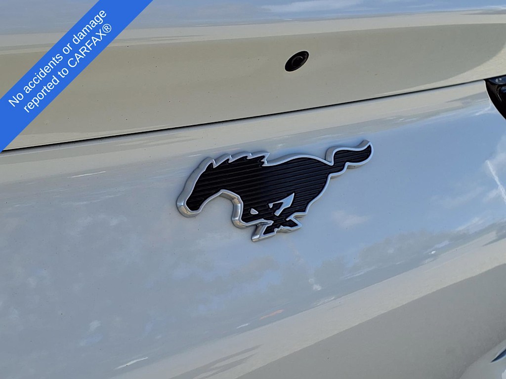 Thumbnail: 2022 Ford Mustang Mach-E - 18