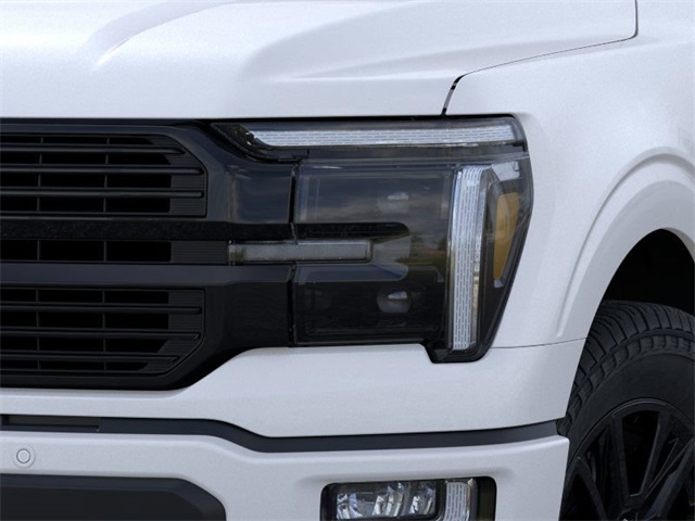 2024 Ford F-150 Platinum 19