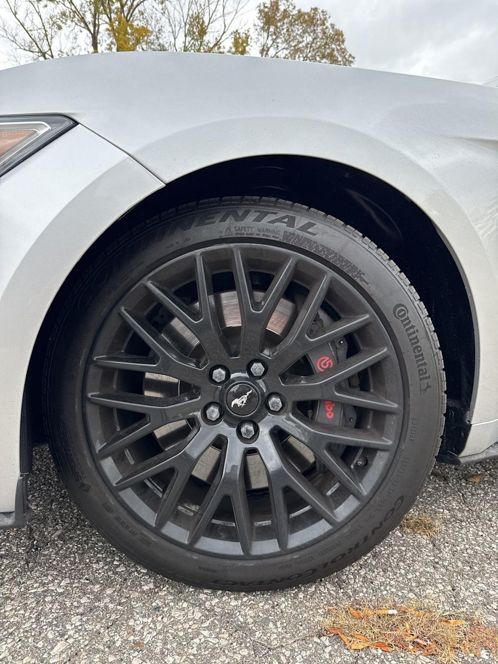 Thumbnail: 2016 Ford Mustang - 14