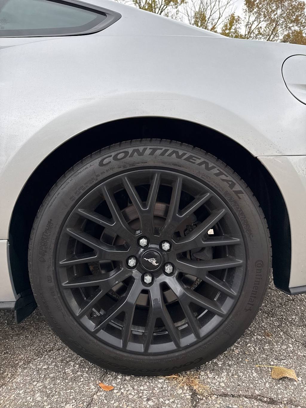 Thumbnail: 2016 Ford Mustang - 5