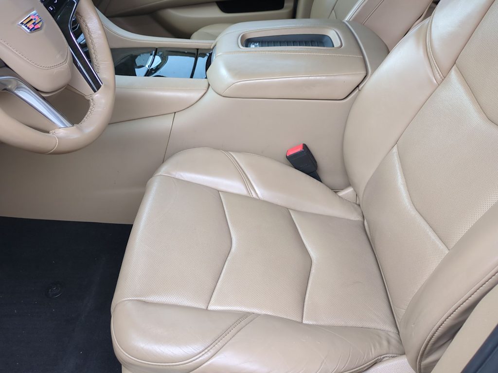 Thumbnail: 2020 Cadillac Escalade - 10
