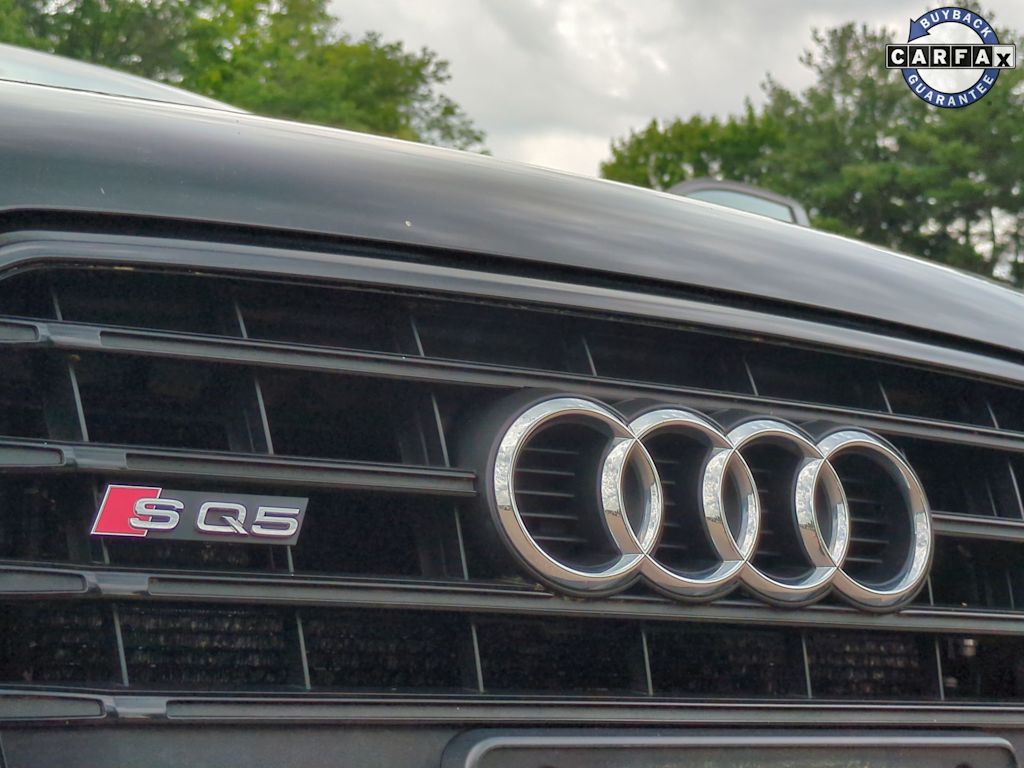 Thumbnail: 2015 Audi SQ5 - 24