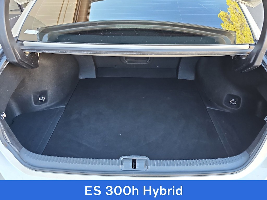 Thumbnail: 2019 Lexus ES - 17