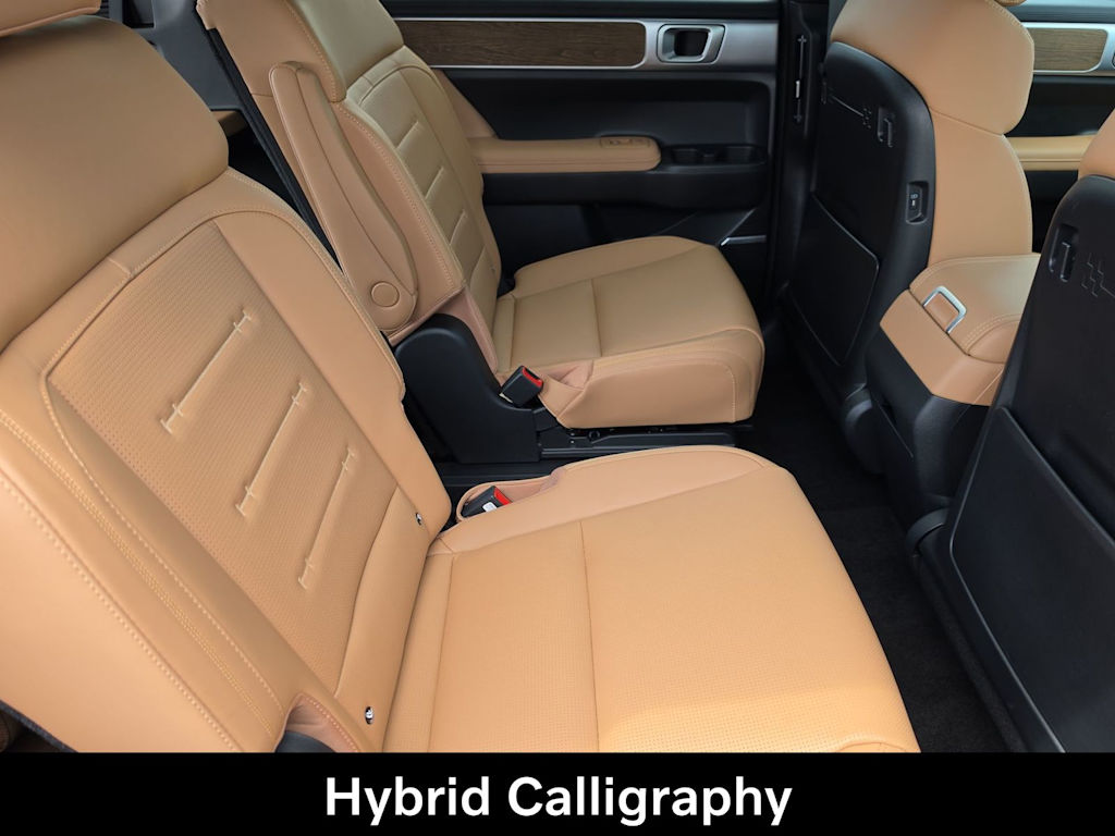 Thumbnail: 2026 Hyundai Santa Fe - 11