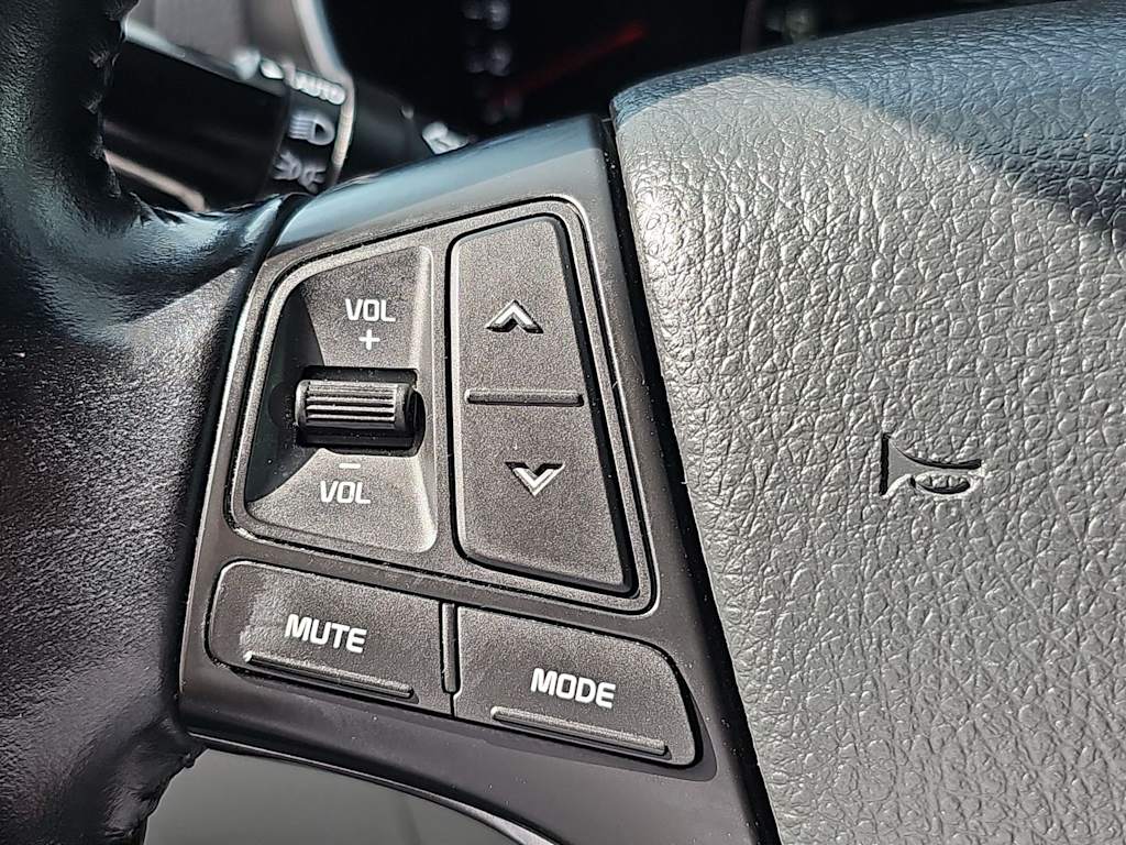 2015 Kia Sorento SX 28