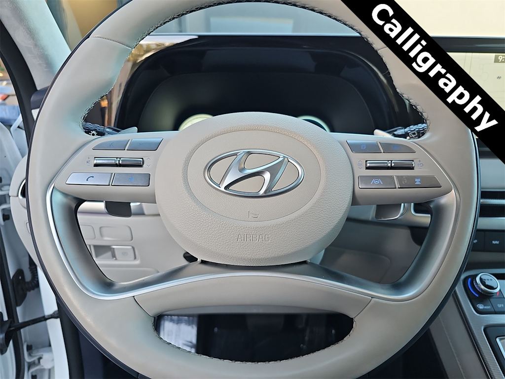 Thumbnail: 2025 Hyundai Palisade - 14