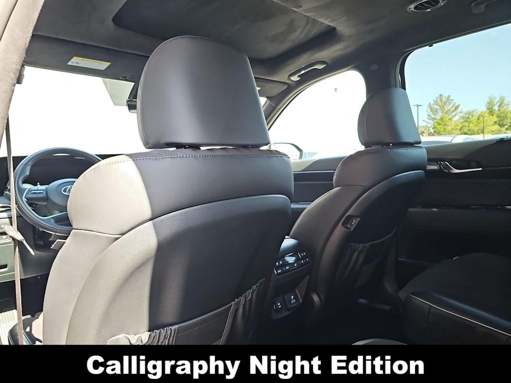Thumbnail: 2025 Hyundai Palisade - 12