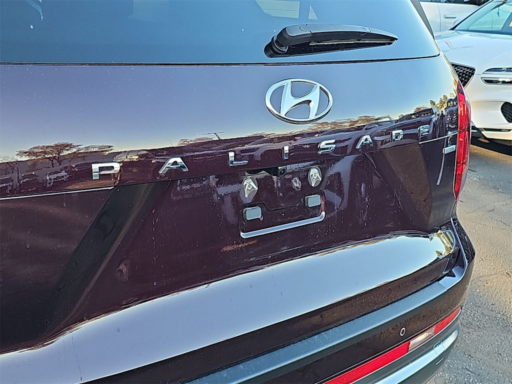 Thumbnail: 2024 Hyundai Palisade - 19