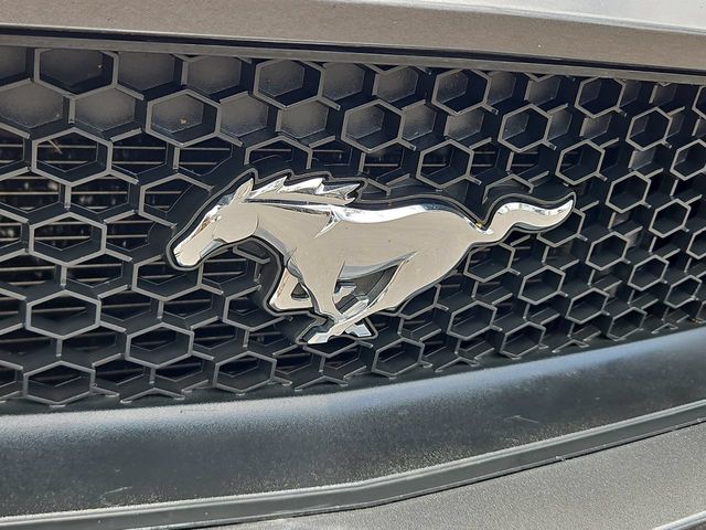 Thumbnail: 2017 Ford Mustang - 23
