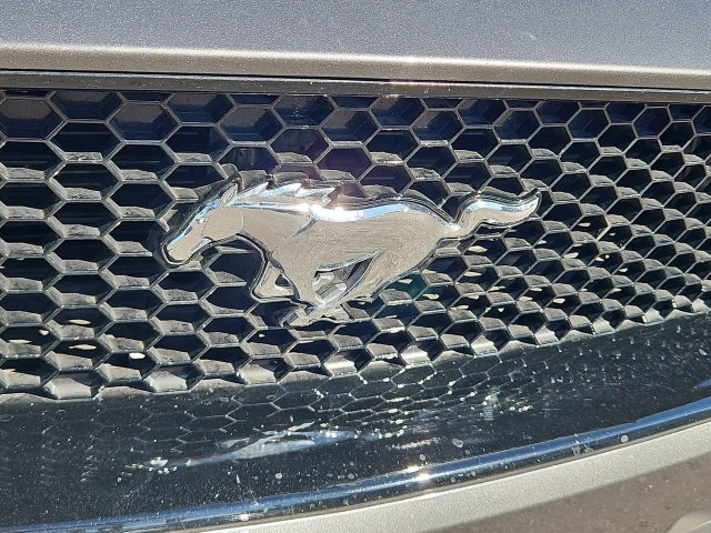 Thumbnail: 2023 Ford Mustang - 25