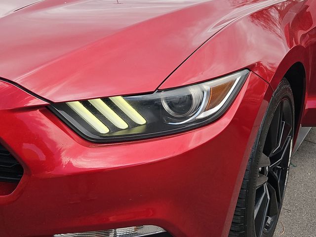 Thumbnail: 2016 Ford Mustang - 12