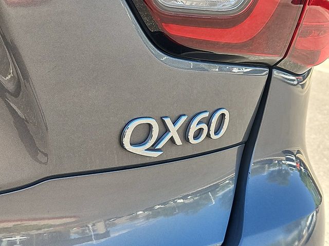 Thumbnail: 2020 INFINITI QX60 - 25