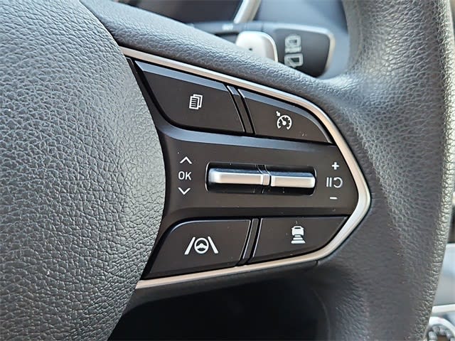 Thumbnail: 2022 Hyundai Santa Fe - 30