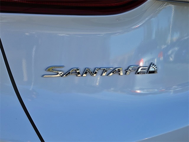 2019 Hyundai Santa Fe Ultimate 27