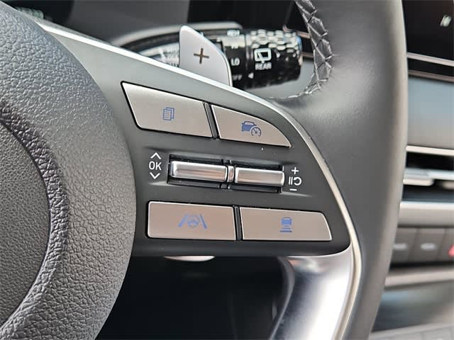 2024 Hyundai Palisade Limited 32