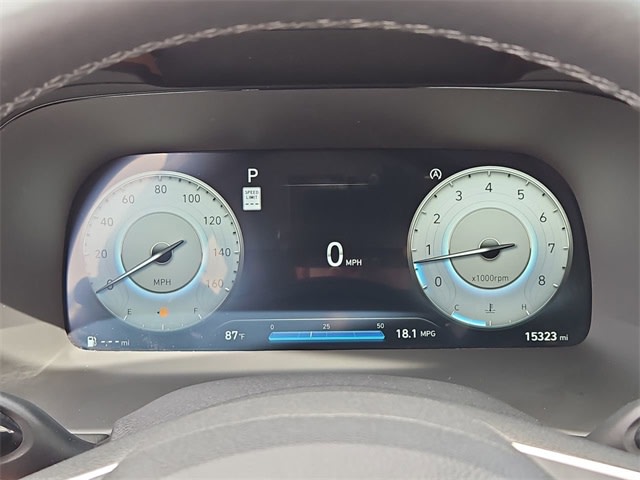 2024 Hyundai Palisade Limited 17