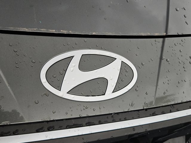 Thumbnail: 2025 Hyundai Elantra - 25