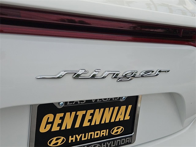 Thumbnail: 2021 Kia Stinger - 25