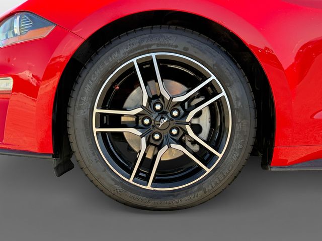 Thumbnail: 2021 Ford Mustang - 8