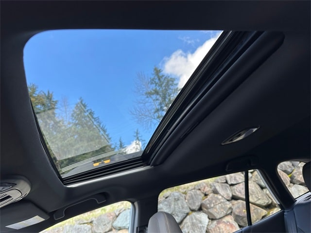 2025 Subaru Outback Wilderness 22