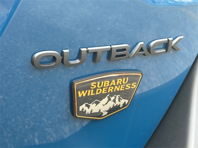 2025 Subaru Outback Wilderness 7