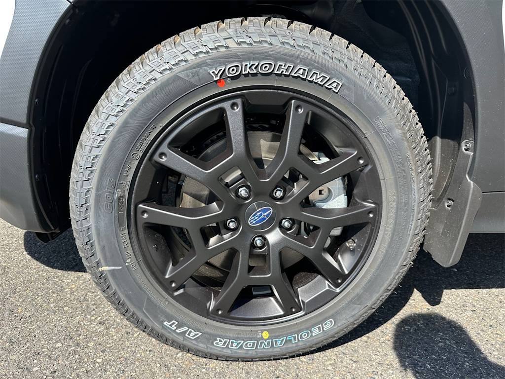 Thumbnail: 2025 Subaru Crosstrek - 8