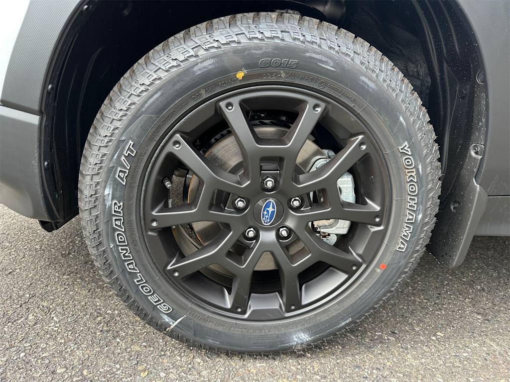 Thumbnail: 2025 Subaru Crosstrek - 8