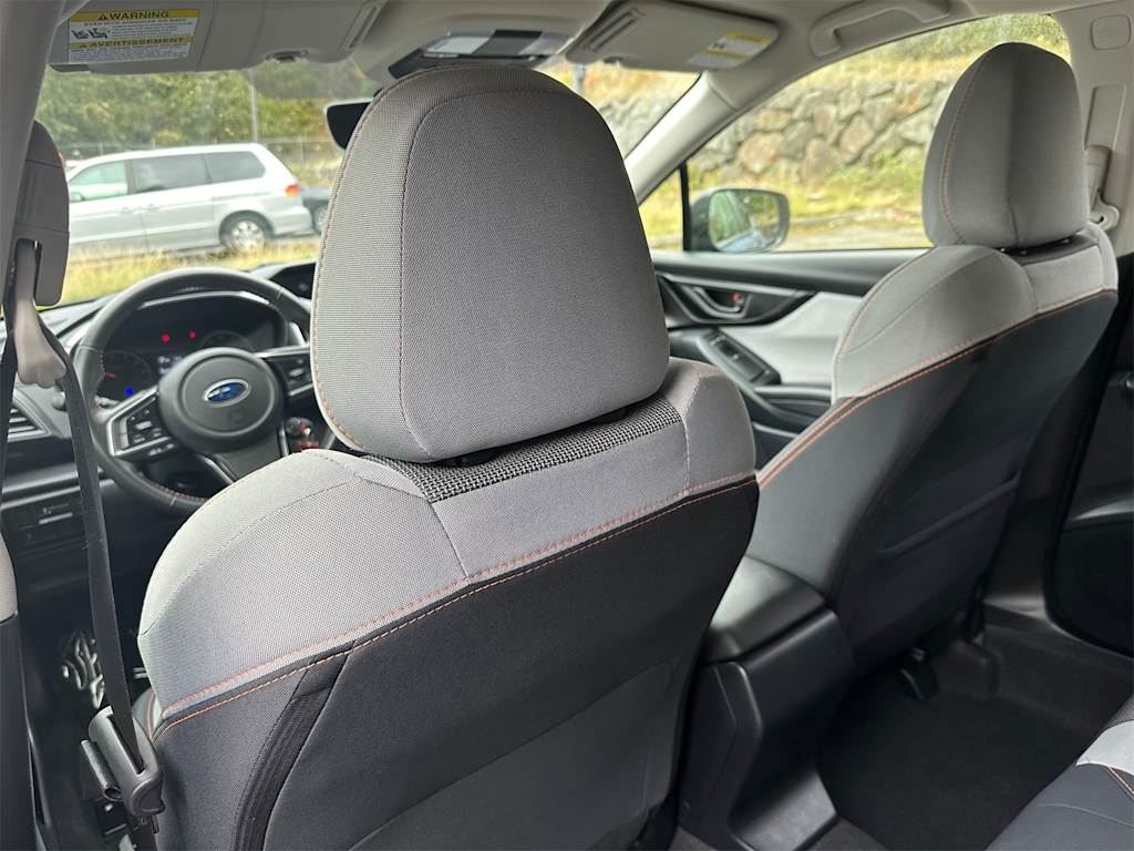 Thumbnail: 2019 Subaru Crosstrek - 11